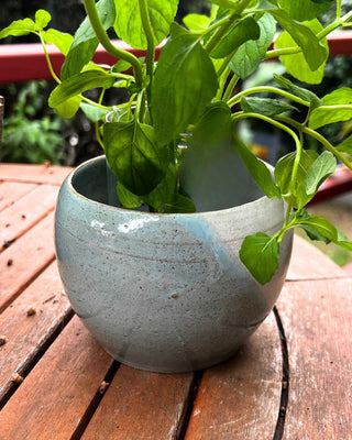 OUI Planter